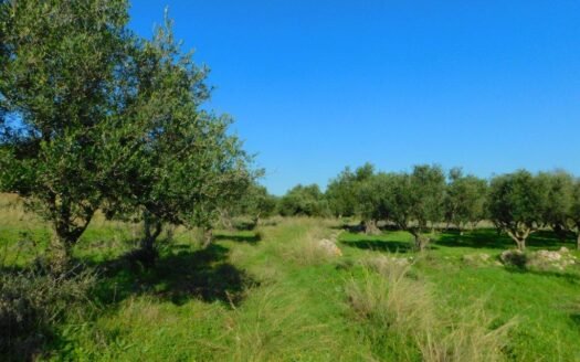 Enjoy both the sunrise and sunset from this stunning plot in Northern Zakynthos