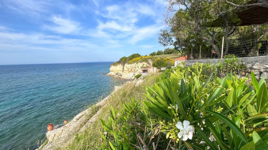 video image