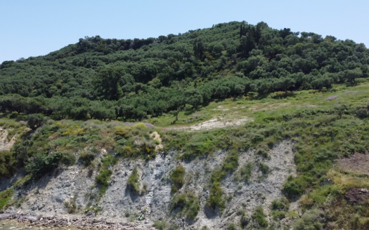 Seaside plot of land for sale on the Eastern coastline of Zakynthos