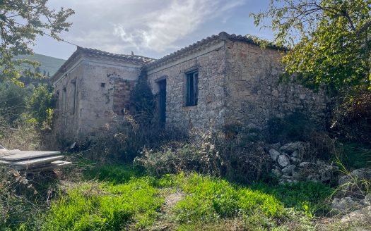 Investment opportunity in the Northern village of Elies