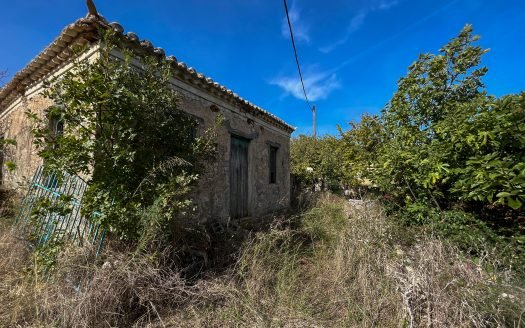 Investment opportunity in the Northern village of Elies