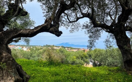 Sea view maisonette in central Tsilivi – Zakynthos