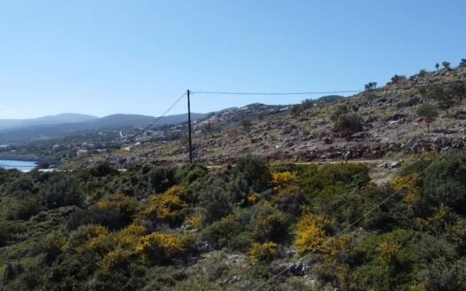 Land for sale, Agios Nikolaos, in Zakynthos, Greece
