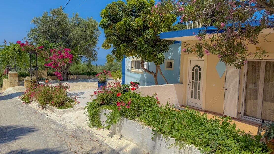 video image