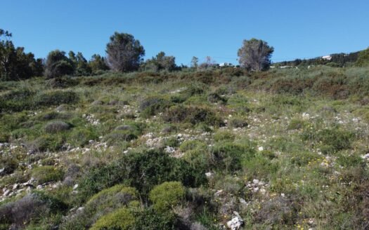 Land for sale- Volimes, Zakynthos.