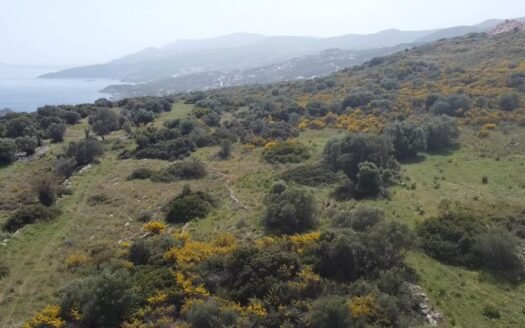 Large Development Land Plots with Panoramic Kefalonia Views – Agios Nikolaos