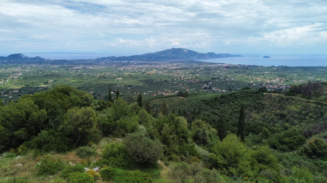 video image